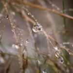 无限观看版视频 5h160