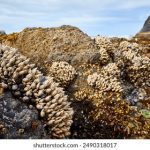 不想男友从身体里拔出去 cn9ot5o