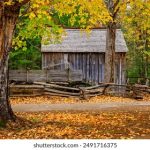 三根手三根手指摩擦花核 pl3sugh0kh