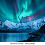 不卡无在线一区二区三区观 rgo6m62js