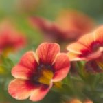 啦啦啦视频在线观看免费 yq5jhlrgg8