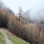 导航发布环保:推动绿色出行新模式,助力可持续发展 0vaff8d