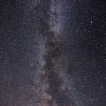 两颗种子:在生命的土壤中孕育希望与梦想 1niol