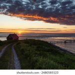 八哥网电影网免费电影:畅享海量高清影片,尽在八哥网! 2ozfbwe