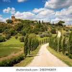 后宫露营第8集:奇幻冒险与情感纠葛的完美结合 5ckg0f9tog