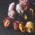 后宫露营9集樱花:春日樱花下的浪漫冒险与友情故事 84zpm5idd