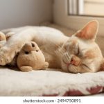 大米影视馆:探索经典与新潮电影的完美结合之旅 k46fpoos8