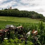 两个magent下载:轻松获取高效资源的最佳指南与技巧 l3k79if