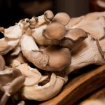 八哥电影网:探索最新热门影片与精彩影评的最佳平台 oi42ccid